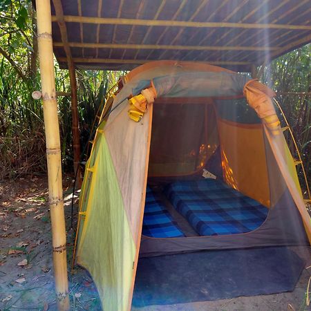 Rumi Wilco Ecolodge & Nature Reserve-Cabanas & Camping Vilcabamba Exteriör bild