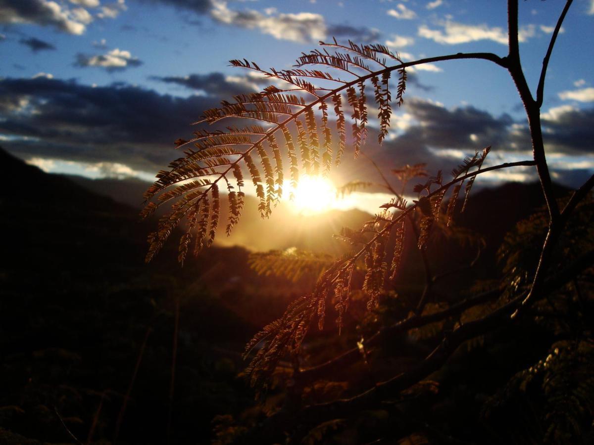 Rumi Wilco Ecolodge & Nature Reserve-Cabanas & Camping Vilcabamba Exteriör bild