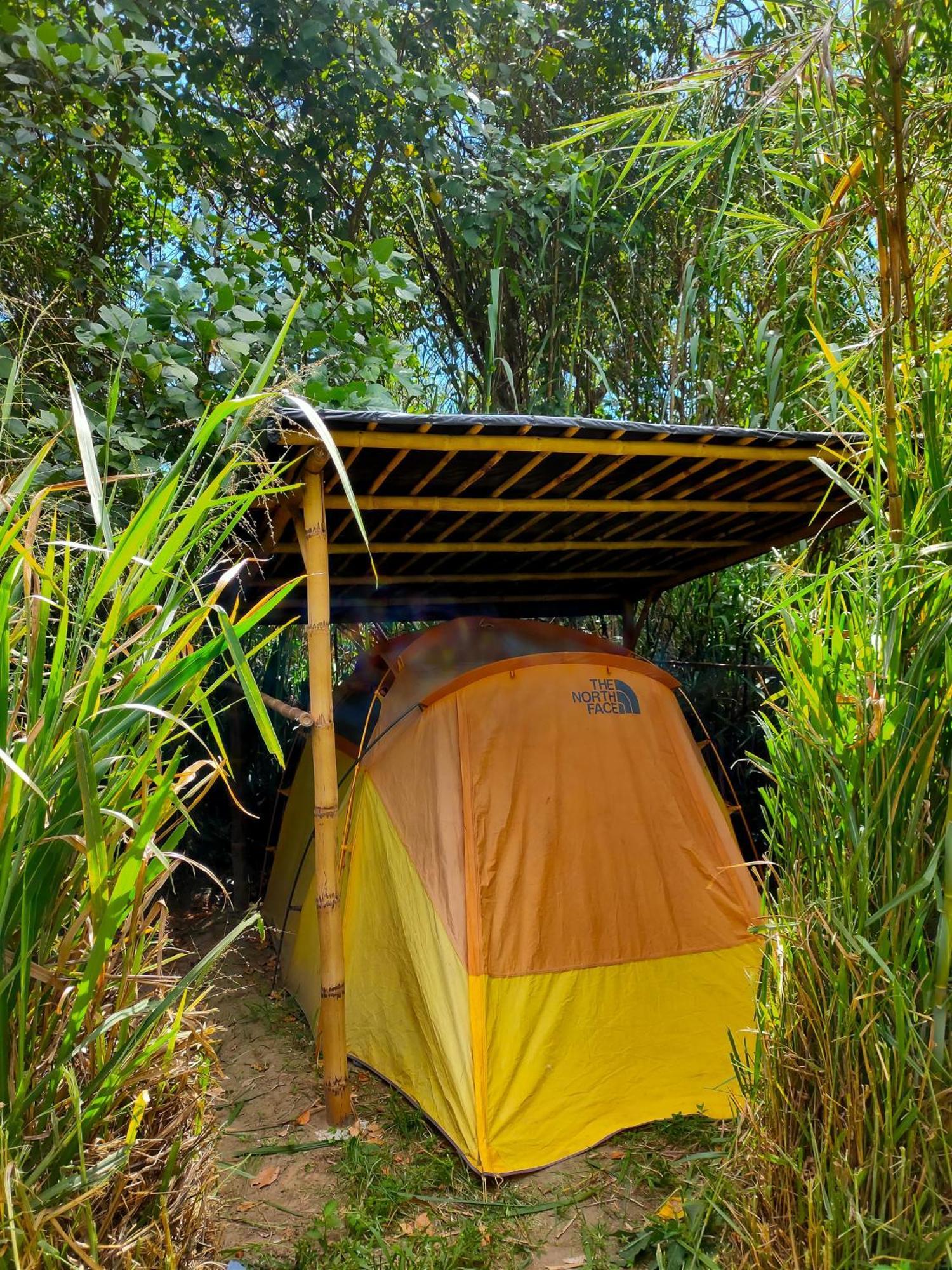 Rumi Wilco Ecolodge & Nature Reserve-Cabanas & Camping Vilcabamba Exteriör bild