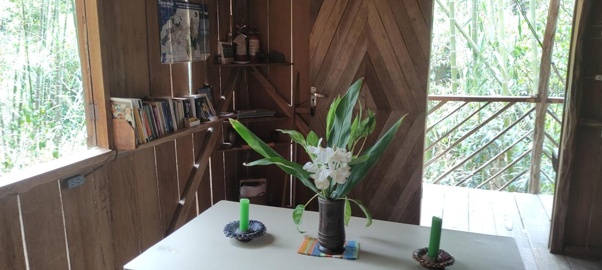 Rumi Wilco Ecolodge & Nature Reserve-Cabanas & Camping Vilcabamba Exteriör bild