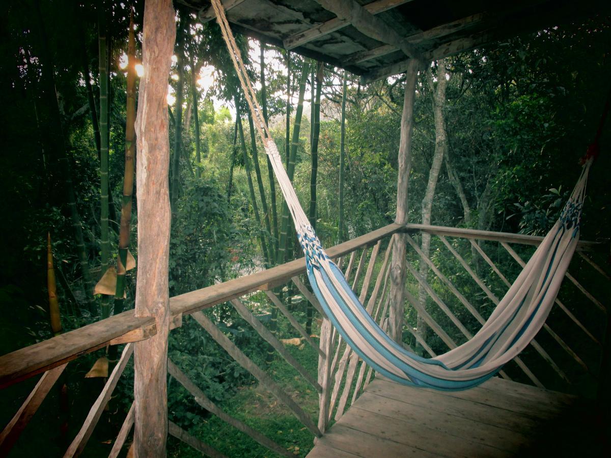 Rumi Wilco Ecolodge & Nature Reserve-Cabanas & Camping Vilcabamba Exteriör bild
