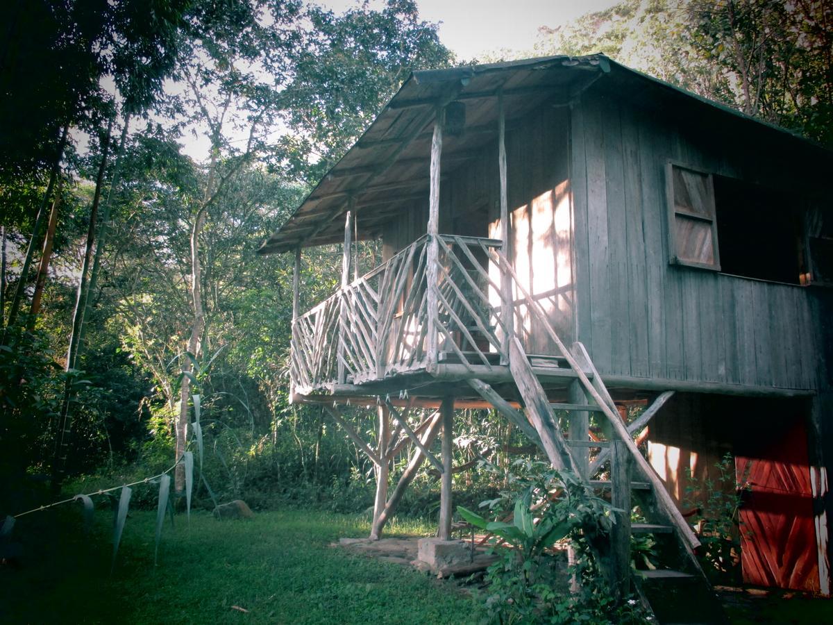Rumi Wilco Ecolodge & Nature Reserve-Cabanas & Camping Vilcabamba Exteriör bild